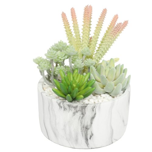 Marble pot succulent