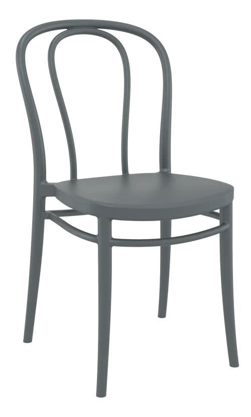Modern bentwood chair